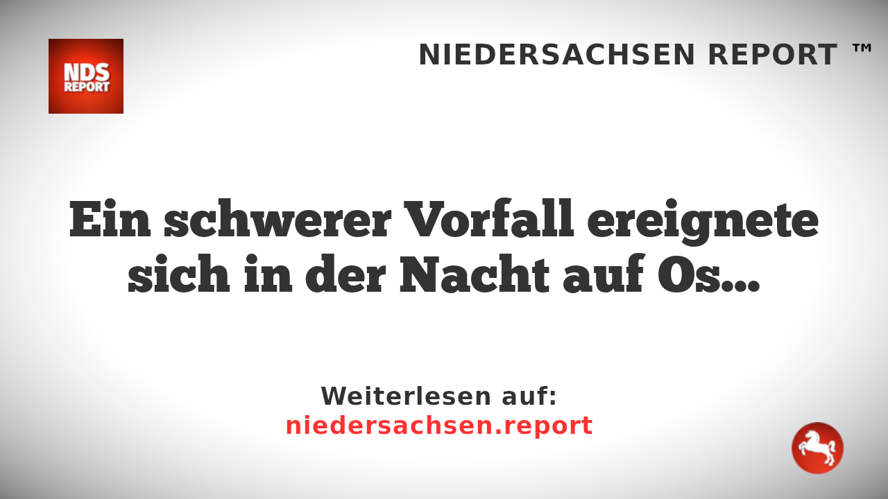 "Schlägerei beim Osterfeuer in Beedenbostel – Mindestens 5 Verletzte"